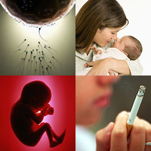 fumare in gravidanza - il concepimento